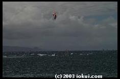 maui hookipa windsurfers